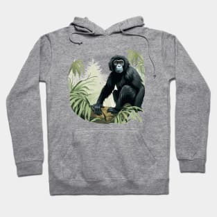 Siamang Hoodie